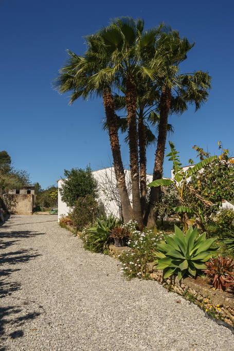 Can Beia Rural House Ibiza Nuestra Senora de Jesus Exterior photo